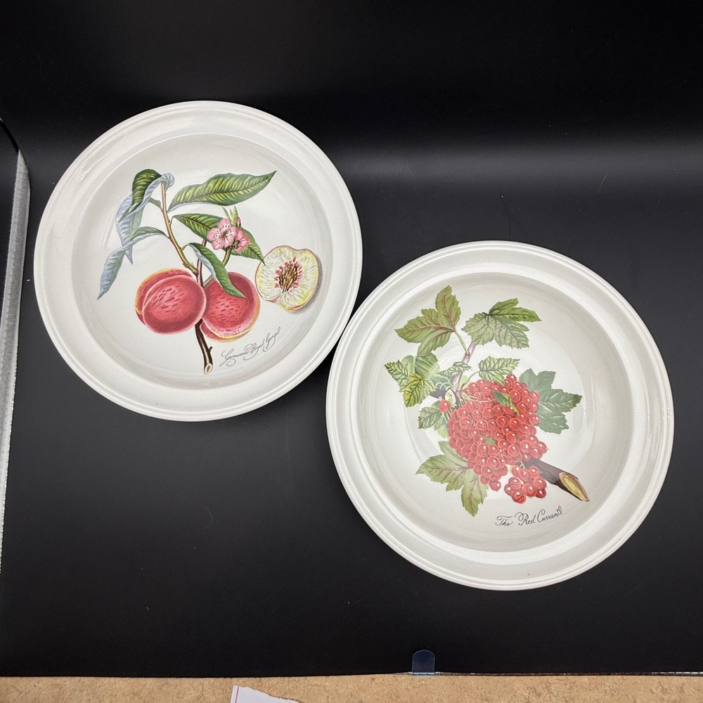 Vintage Portmeirion Pomona Pasta Bowls Set of 2 8.5" Botanical Cottage
